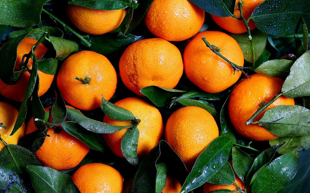 Rhum arrangé chocolat et oranges confites