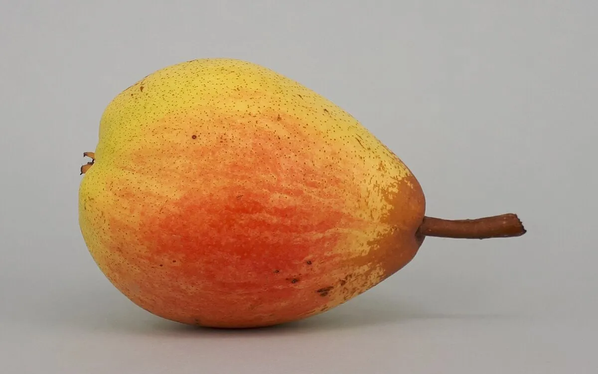 Rhum arrangé poires caramélisées et fève tonka