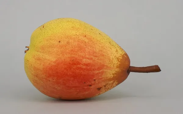 Rhum arrangé poires caramélisées et fève tonka
