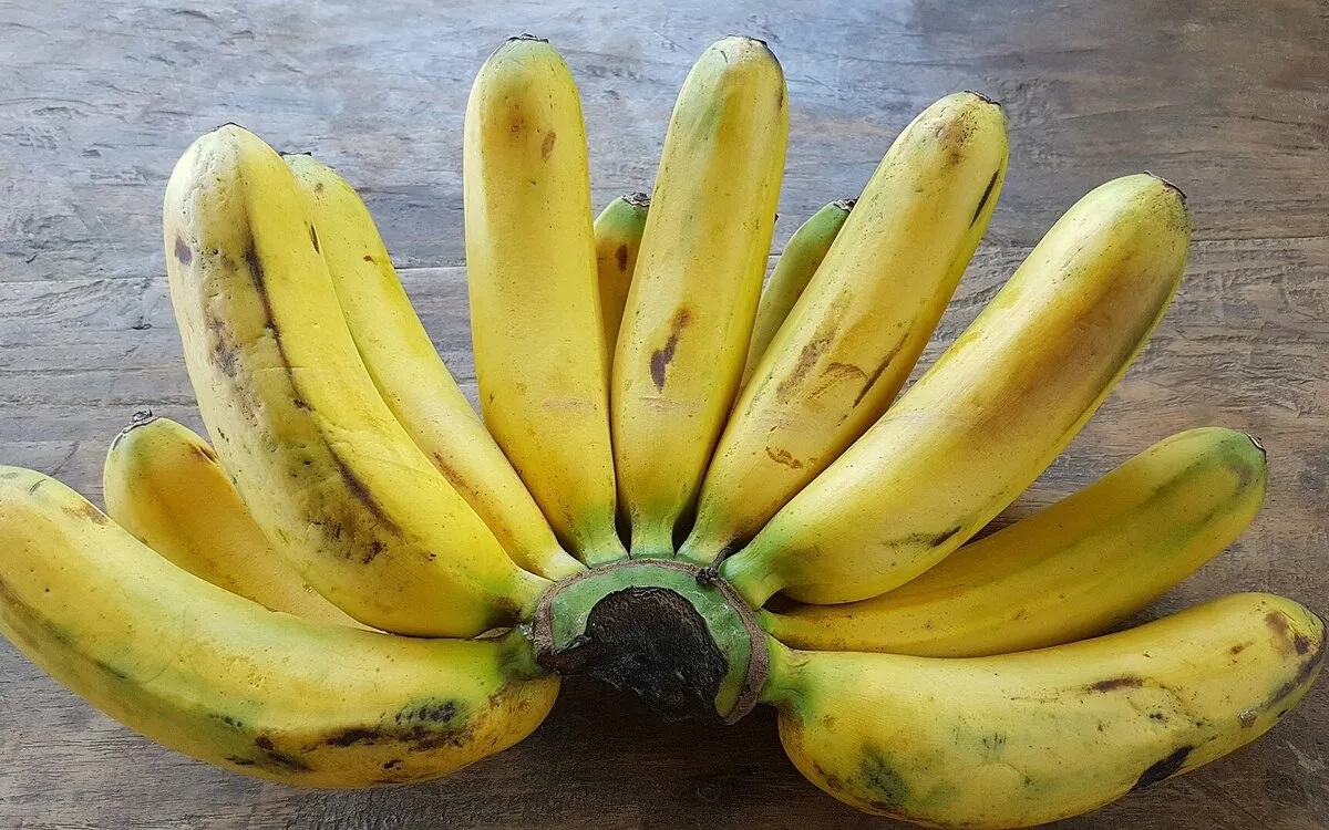 Rhum arrangé banane et bois bandé