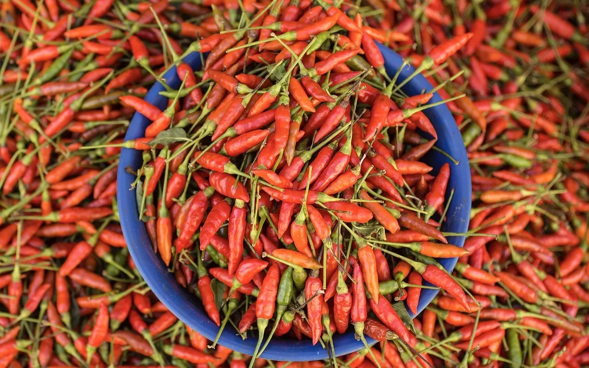 Rhum arrangé piment et cannelle