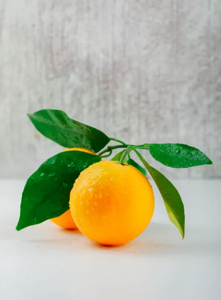 Rhum arrangé yuzu gingembre