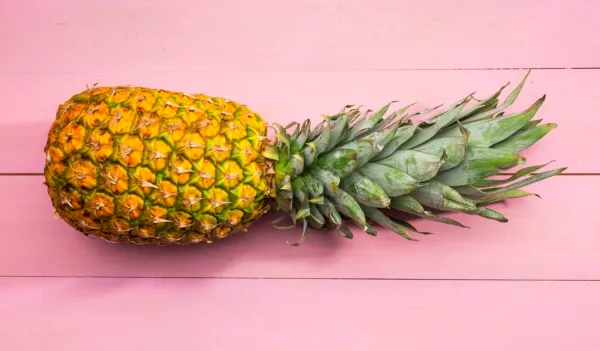 Rhum arrangé ananas Victoria suspendu