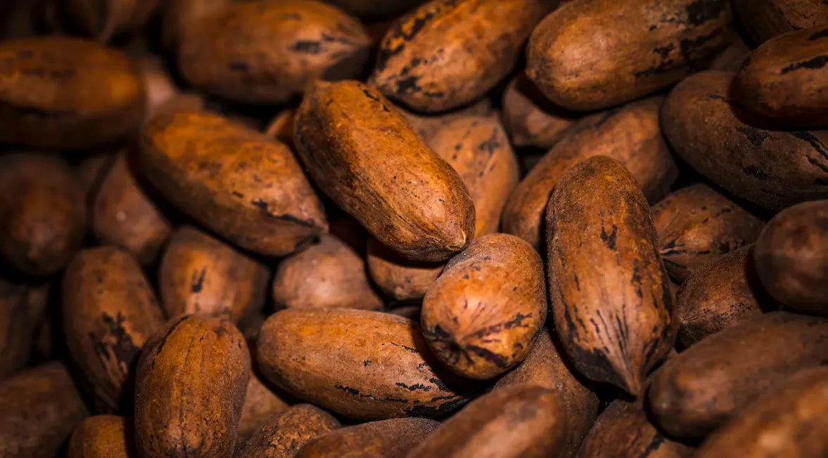 Rhum arrangé fève tonka cacao