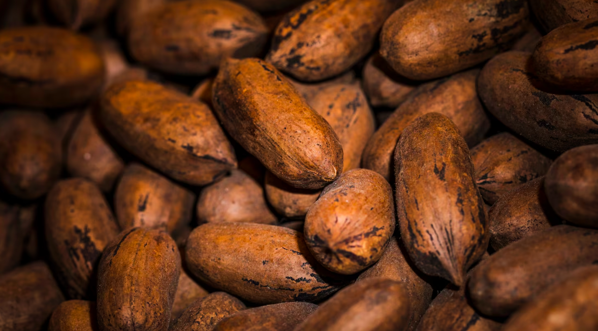 Rhum arrangé fève tonka cacao