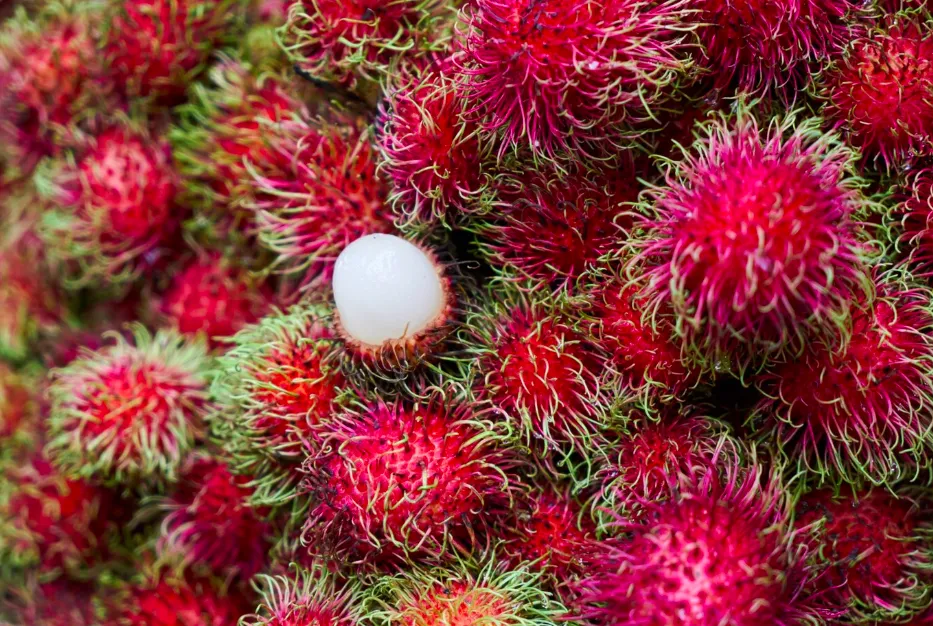 Rhum arrangé ramboutan citronnelle