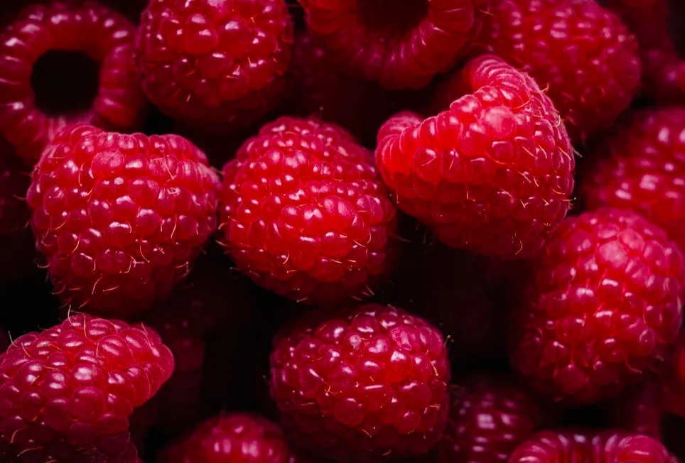 Rhum arrangé hibiscus framboise