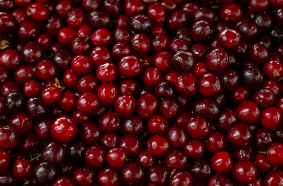 Rhum arrangé cranberry orange