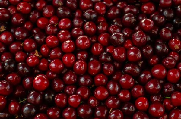 Rhum arrangé cranberry orange
