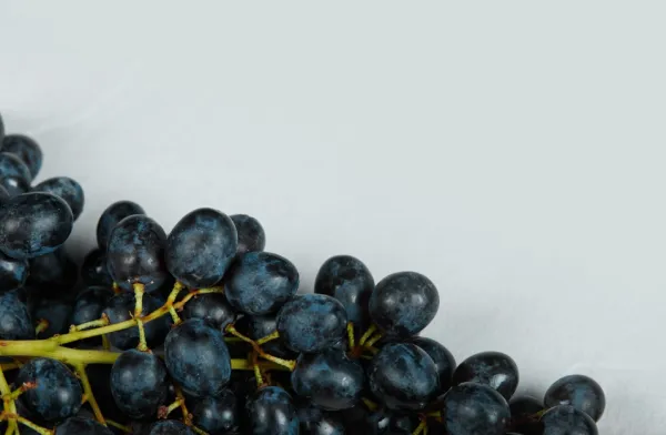 Rhum arrangé raisins frais