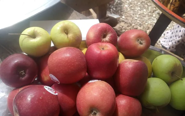 Rhum arrangé pomme et fruit de la passion