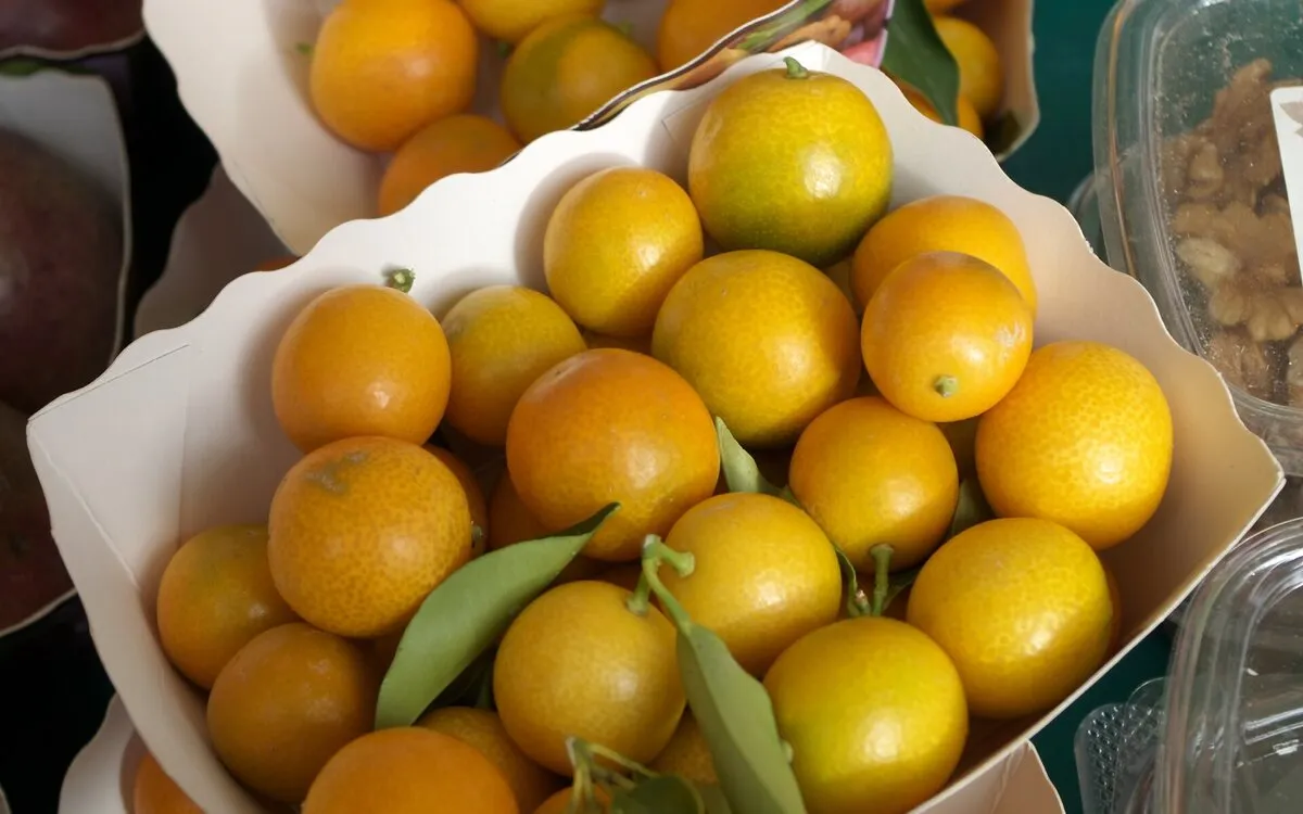 Rhum arrangé kumquats et carambole