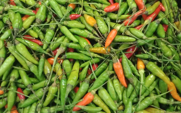 Rhum arrangé au piment oiseau