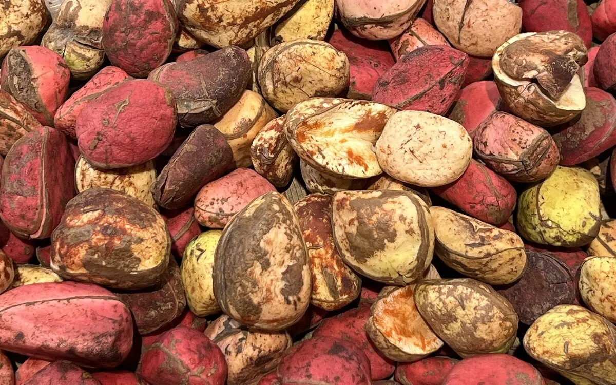 Rhum arrangé à la noix de kola