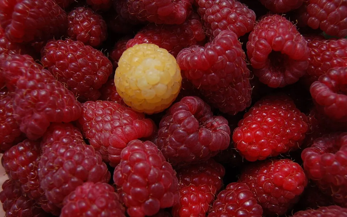 Rhum arrangé mangue et framboise