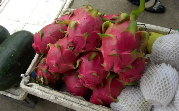 Rhum arrangé pitaya, fruits de la passion et citron vert