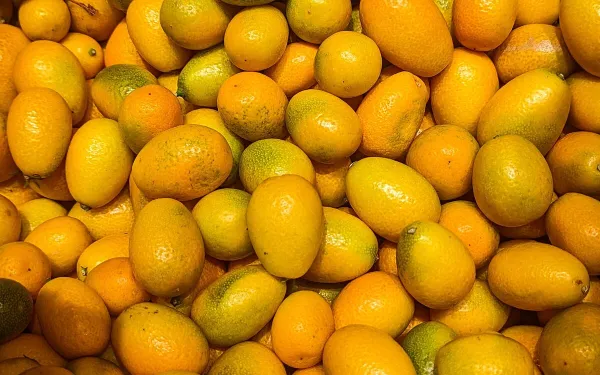Rhum arrangé ananas, kumquat et combava