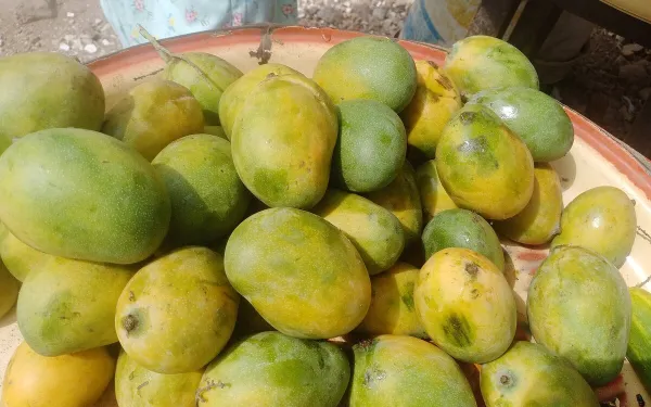 Rhum arrangé mangue, maracuja et bananes flambées