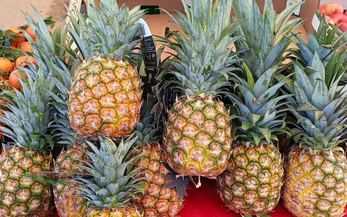 Rhum arrangé ananas et mangue